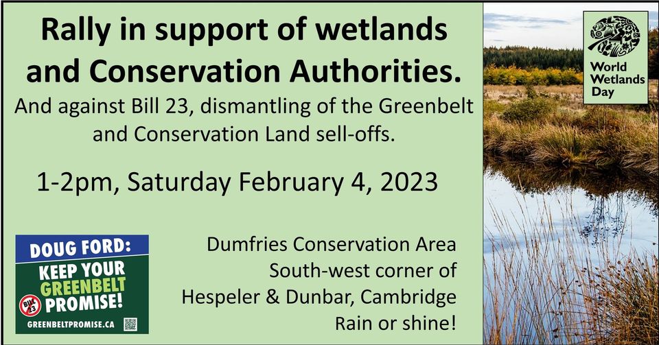 Rally in support o wetlands and Conservation Authorities. | And against Bill 23, dismantling of the Greenbelt and Conservation Land sell-offs. | 1-2pm, Saturday February 4, 2023 | Dumfries Conservation Area | South-west corner of Hespeler, & Dunbar, Cambridge | Rain or shine! (black text on a light green background, a small image of a poster in the bottom left corner "Doug Ford: Keep your Greenbelt Promise greenbeltpromise.ca" and an image of a wetland along the right with the World Wetlands Day logo and wordmark in the top right corner)